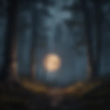 Dark forest with eerie moonlit sky