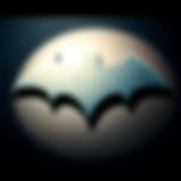 The Symbol of Vigilance Close-up of Batman's emblem with shadows