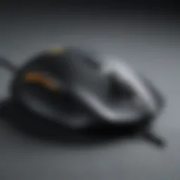 Ergonomic Excellence