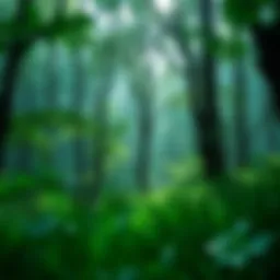 A vibrant green forest setting showcasing the essence of green mana.