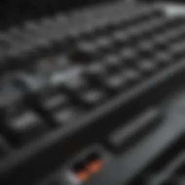 Mechanical Keyboard Switches Explained Close-up view of mechanical keyboard switches