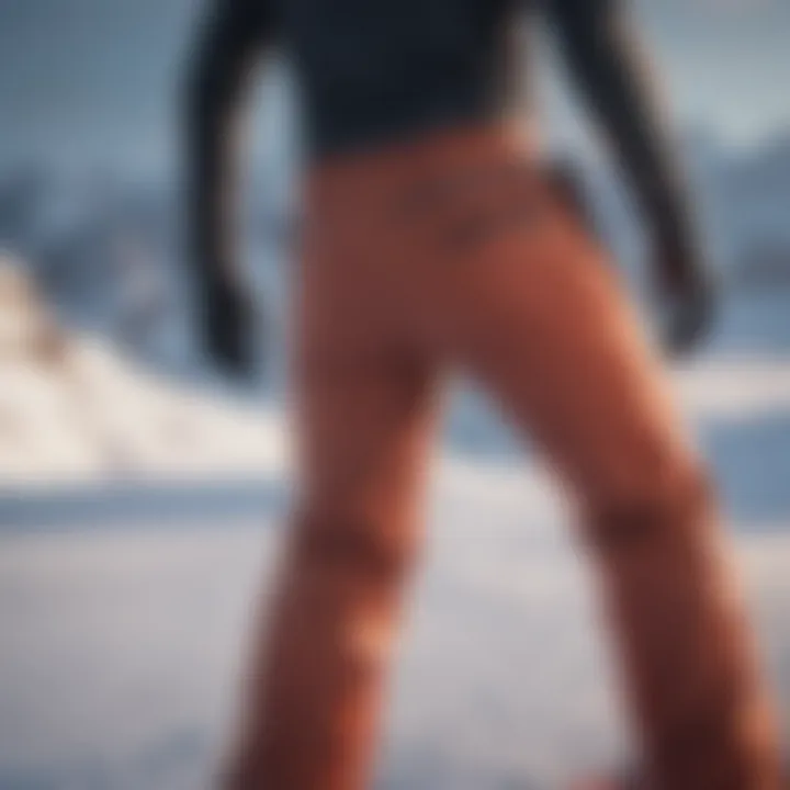 Sims Ski Pants Performance Excellence