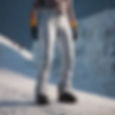 Sleek Design of Sims Ski Pants Sims Ski Pants Sleek Design