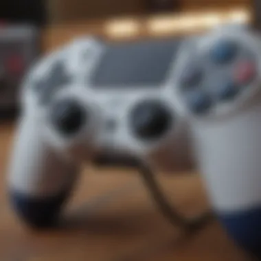 Exploring the World of Custom Designed PS4 Controllers Summary