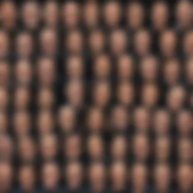 A collage of famous comedians featured in Netflix specials.