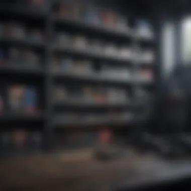 Revolutionary Gaming Organization Techniques Innovative PlayStation Storage Solutions