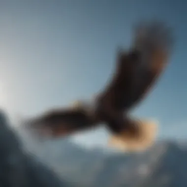 Majestic eagle soaring through the sky