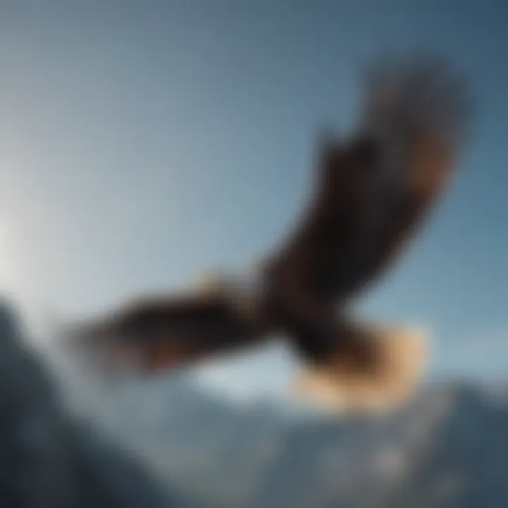 Majestic eagle soaring through the sky