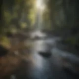 Captivating Stream Overlay Design