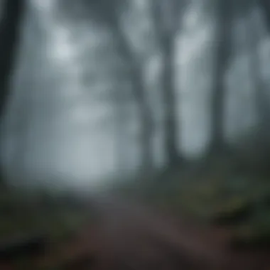 Enigmatic Mist of Fear Mysterious Fog in Haunted Forest