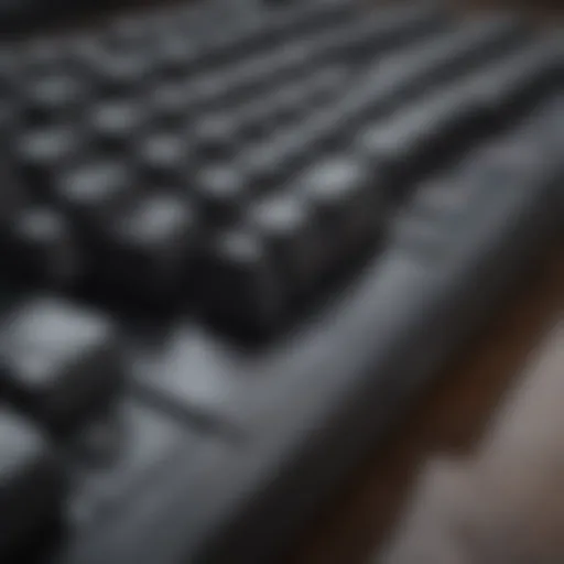 An array of mechanical keyboards showcasing different switches and designs