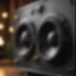 Close-up of high-fidelity speaker drivers