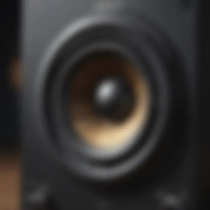 Diagram illustrating speaker frequency response