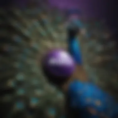 The Fusion of Peacock and Roku Logos Peacock and Roku logo integration