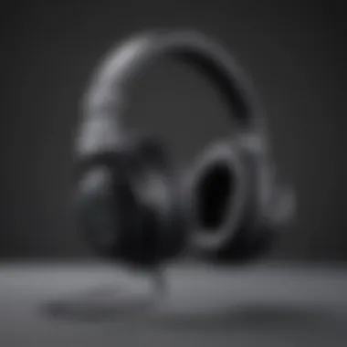 Sleek Design and Comfortable Fit of Professional Wireless Headset Sleek Design and Comfortable Fit of Professional Wireless Headset