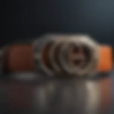 Sophisticated GG Belt Styling Guide Sophisticated GG Belt Styling Guide