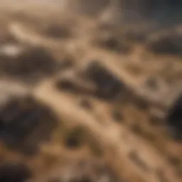 Strategic battlefield layout in a turn-based war game