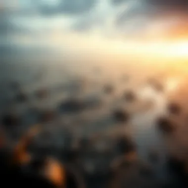 A detailed map showcasing significant World War II battle locations